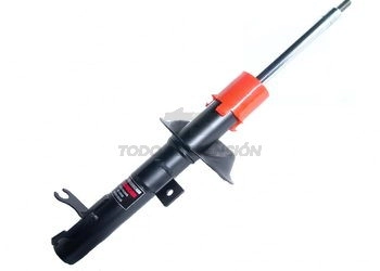 FD AMORT.DEL. DER. FOCUS - 99/...