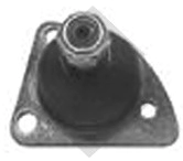 **RT ROTULA INF. DER. R.6 TODOS