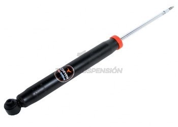 PG AMORT.TRAS. P 307 - 00/...